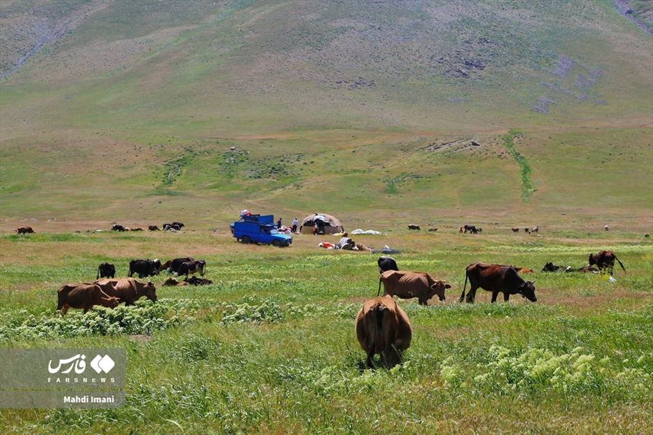 نغمه زیبای کوچ عشایر ایل «قره‌داغ» آذربایجان