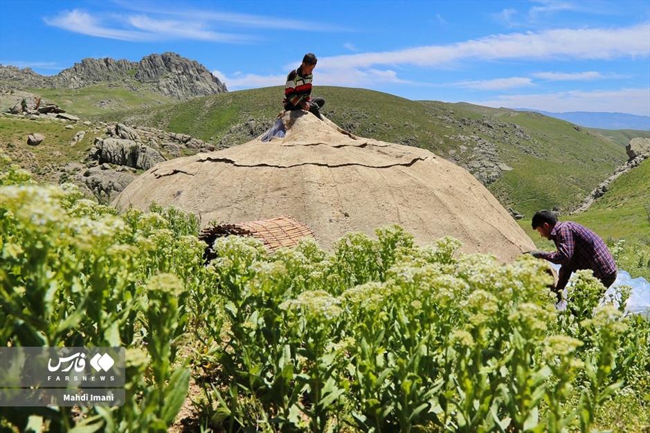 نغمه زیبای کوچ عشایر ایل «قره‌داغ» آذربایجان