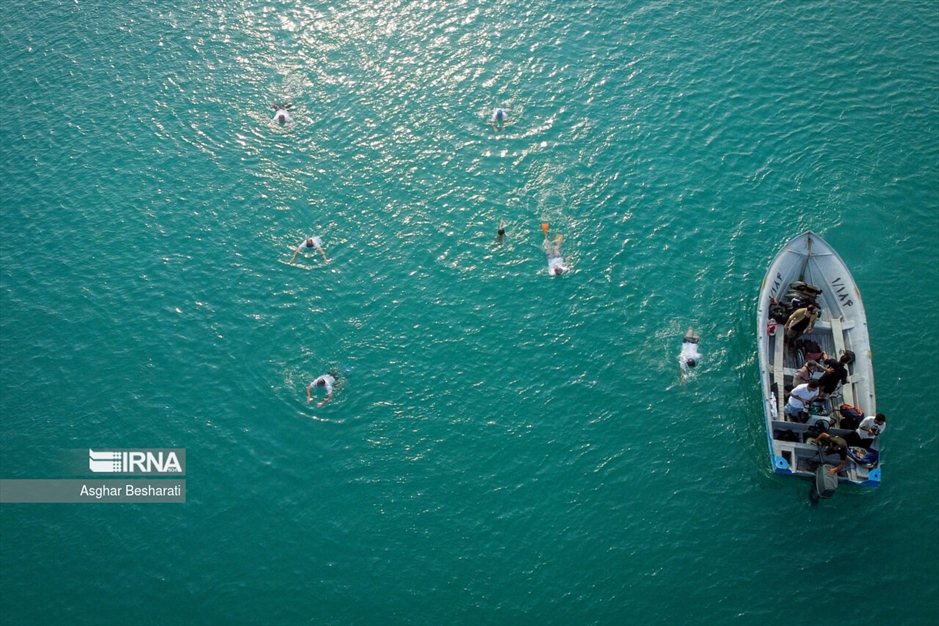 شنای جانبازان در خلیج فارس