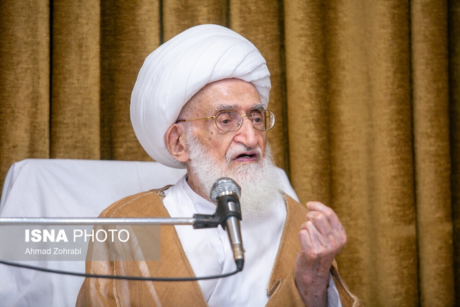 دیدار علیرضا زاکانی با آیت الله نوری همدانی