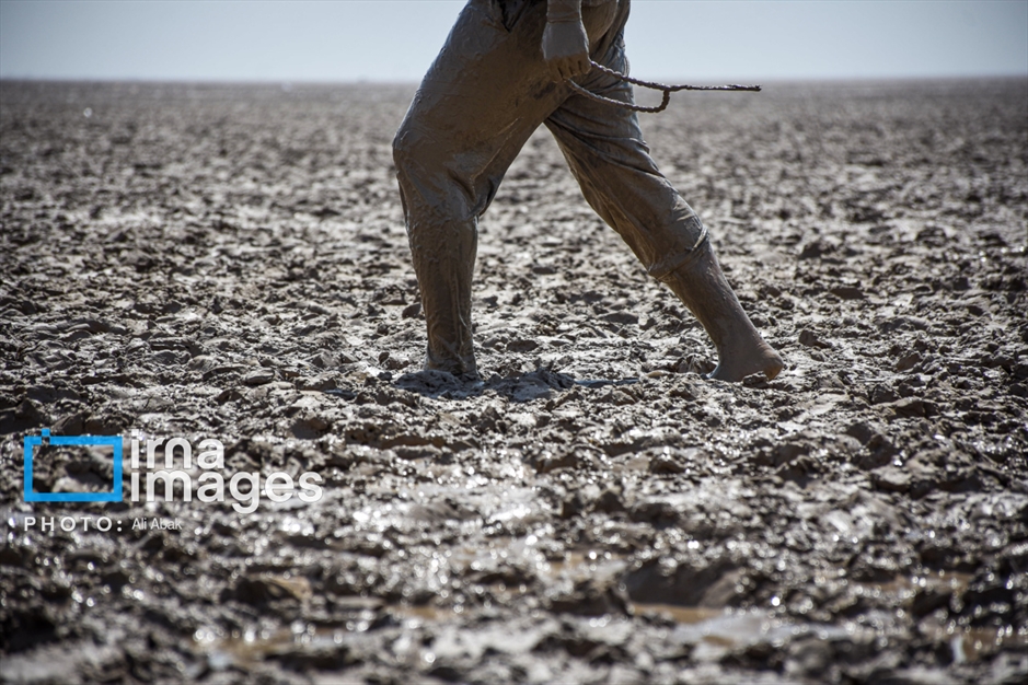 «من البحر الی النحر»