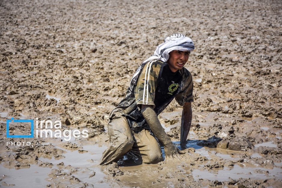 «من البحر الی النحر»
