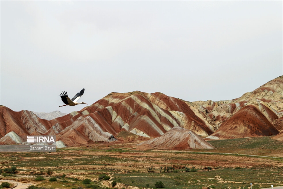 هشتم مرداد، روز زنجان