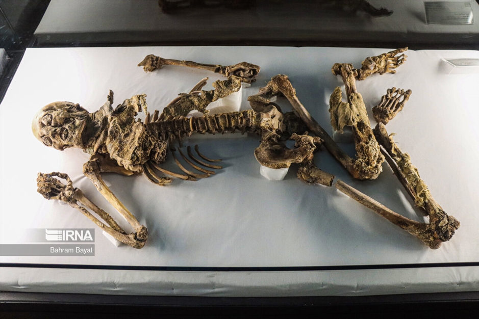 هشتم مرداد، روز زنجان