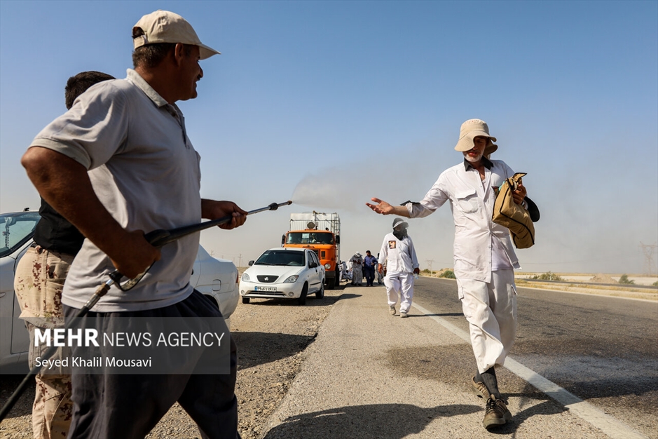 زائران حسینی در مسیر شلمچه