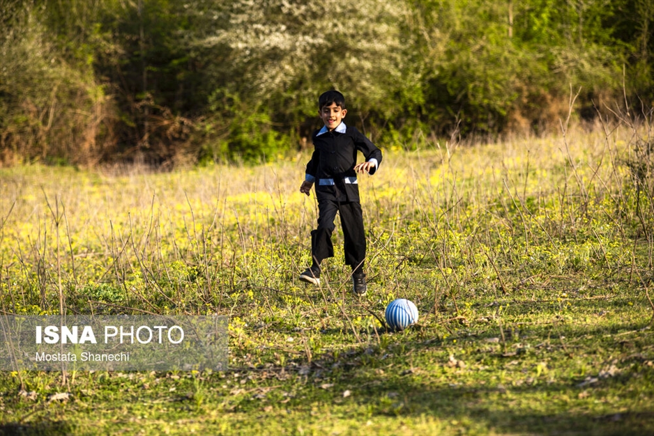 خانواده ایرانی؛ خانواده ترابی