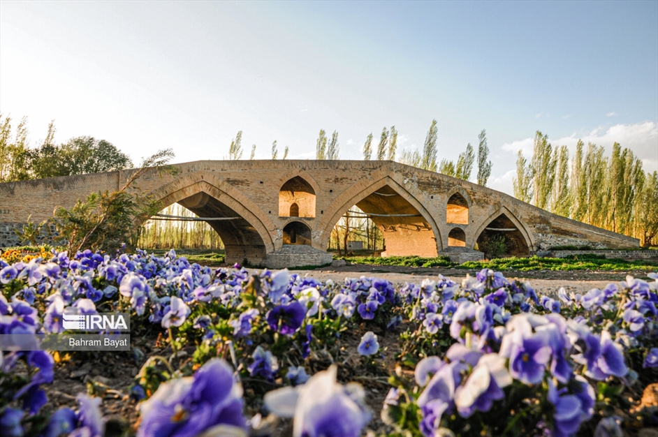 هشتم مرداد، روز زنجان