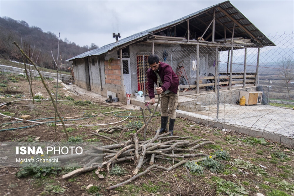خانواده ایرانی؛ خانواده ترابی