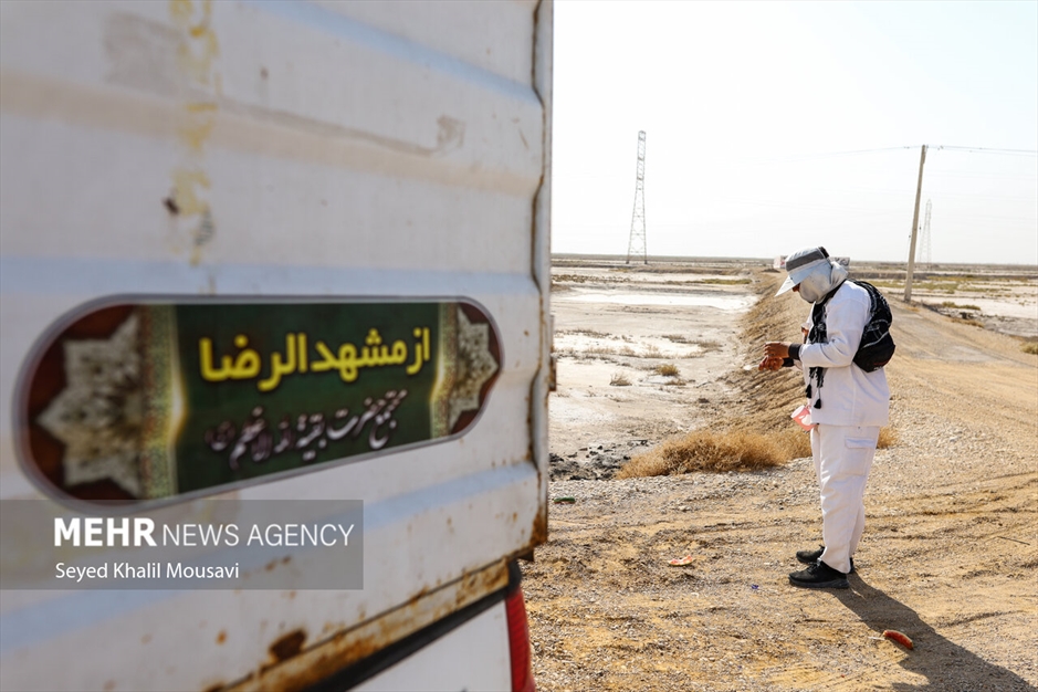 زائران حسینی در مسیر شلمچه