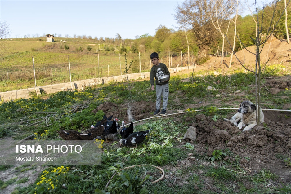 خانواده ایرانی؛ خانواده ترابی