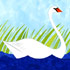 قوی سفید و زیبا