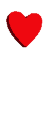 ماهی های استخوانی -1