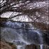 نیاسر آبشار