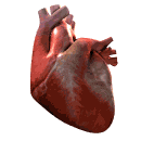 ماشین قلب