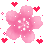 دختران تاک