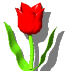 «امید غنچه ها»