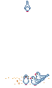 مراقب گنجشک ها باشید